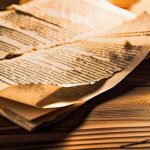 Дело А41 80455 2025.